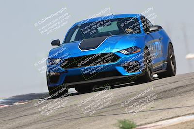 media/Jul-26-2025-Speed Ventures (Sat) [[fe569e6cf0]]/Black Group/Grapvine/